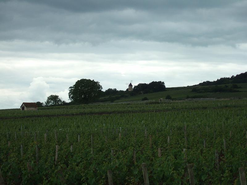 2010-05- (99).JPG - Moulin de Santenay - kurz vor Remigny